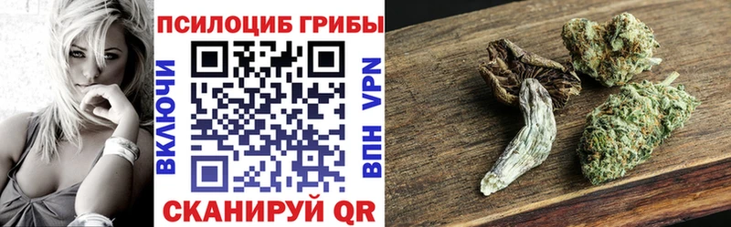 Галлюциногенные грибы Magic Shrooms  где продают наркотики  Курчатов 